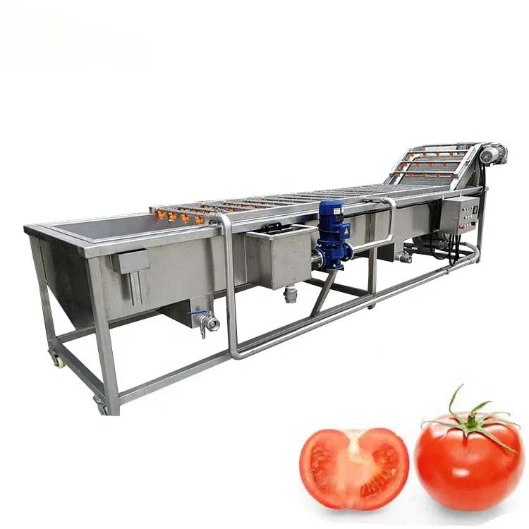 small scale automatic continuous fruit vegetable bubble washing machine and sorting machine vegetable washing machine