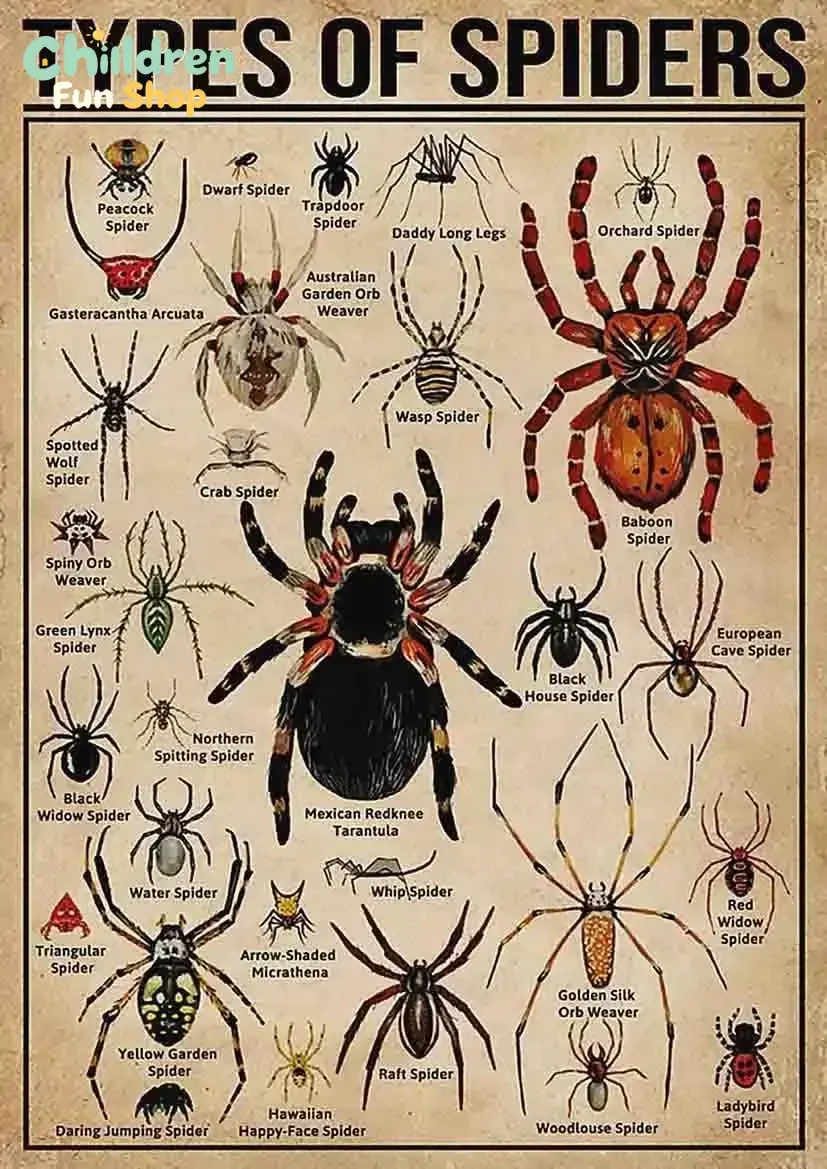 Spider Knowledge Metal Tin Signs Vintage Retro Wall Decor Children Education Infographic Plaque Science Posters Home Office C