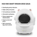 Rose Gold Smart