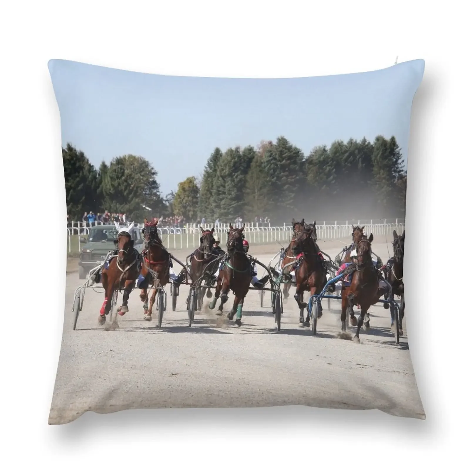 Harness racing horses trotter breed in motion Throw Pillow Cushions For Children Custom Cushion pillow