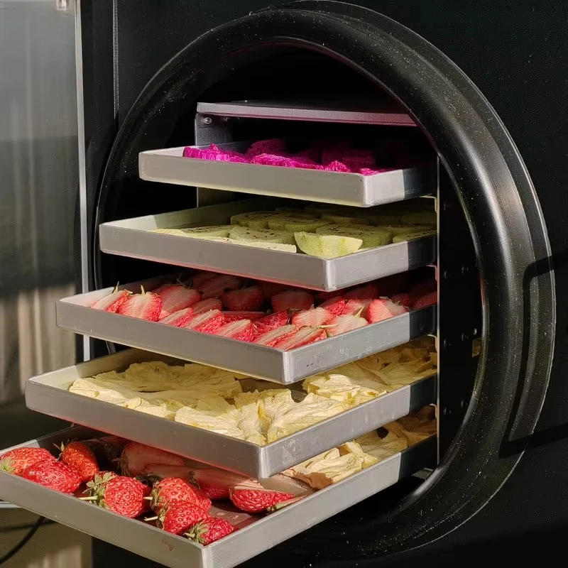4kg 6kg Small Vaccum Freeze Dryer Fully Automatic Freeze Drying Machine for Fruits Food Candy and Pet Treats Meat Customized
