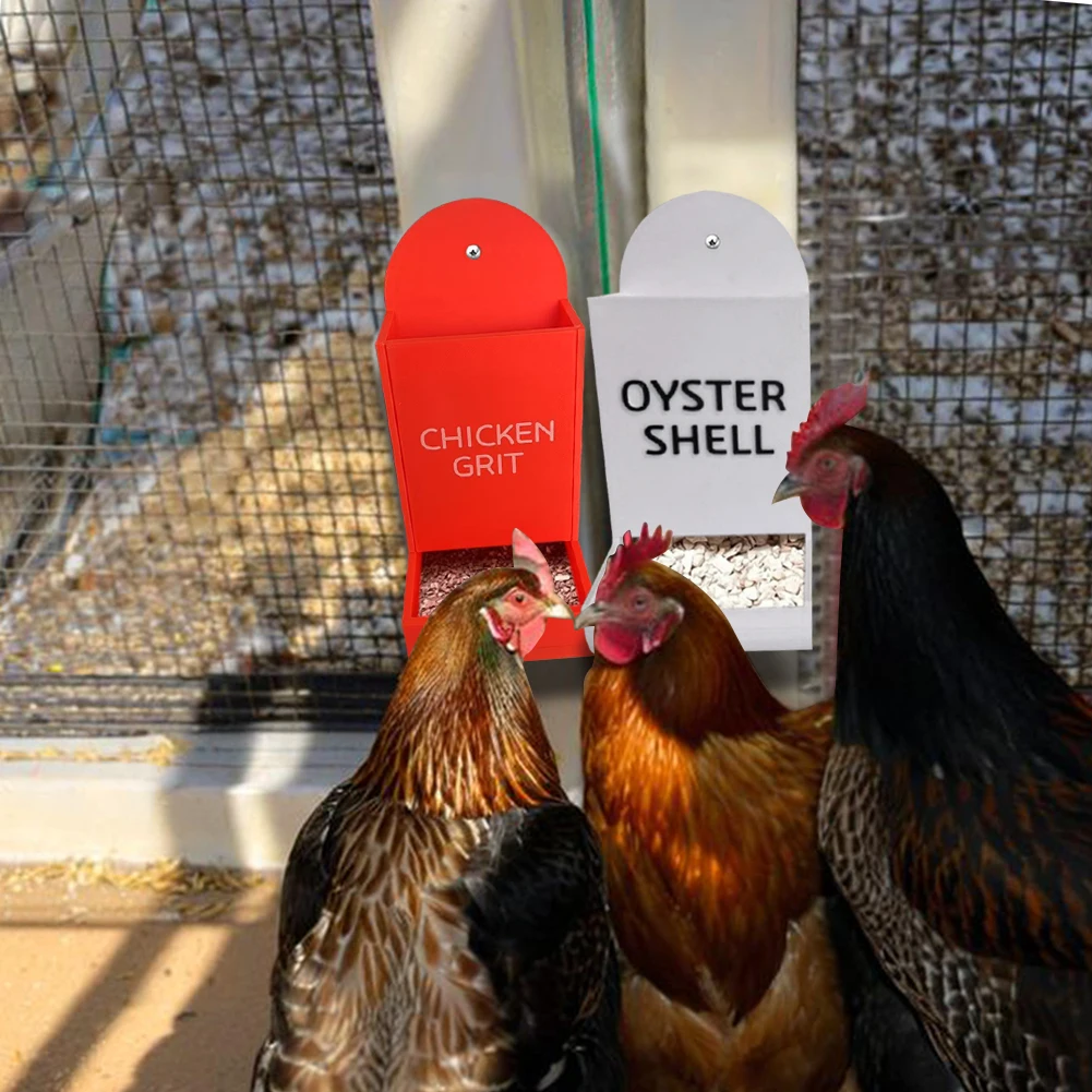 Chicken Oyster Shel…