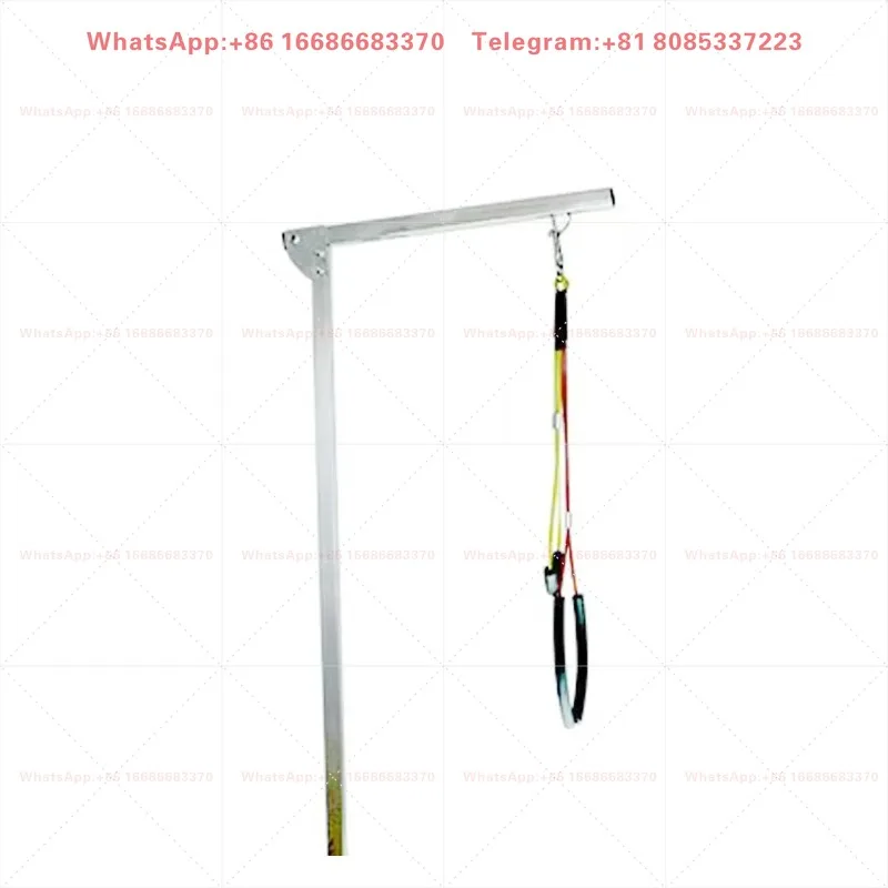 LIZE PET Dog Pet Grooming    Animal Clinic Cat Dog  Hospital Veterinary Electrical Lifting Examination    With LED