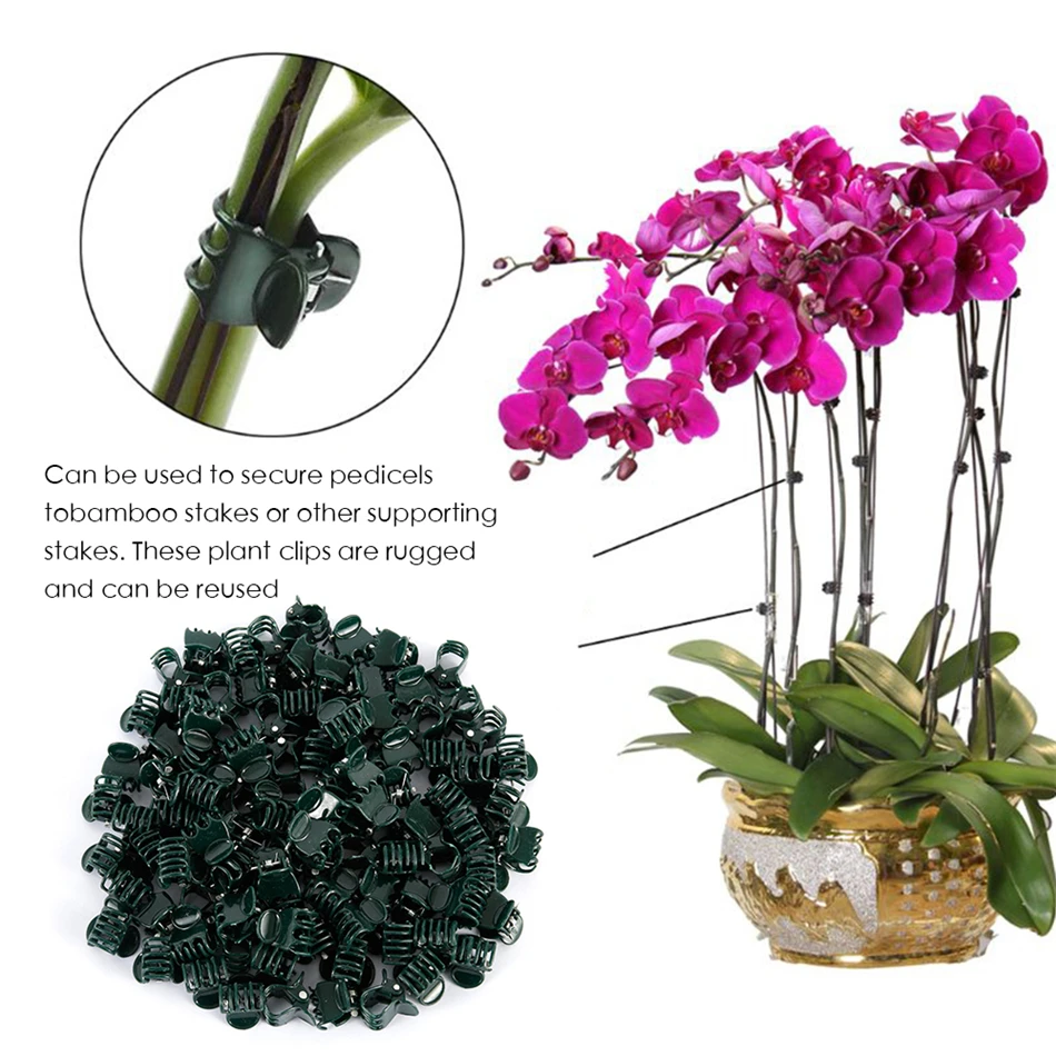 Clips de Support de plante en plastique, 100 pièces, pour tige d\'orchidée, pour Support de vigne, légumes, fleur, faisceau, serrage de branche,