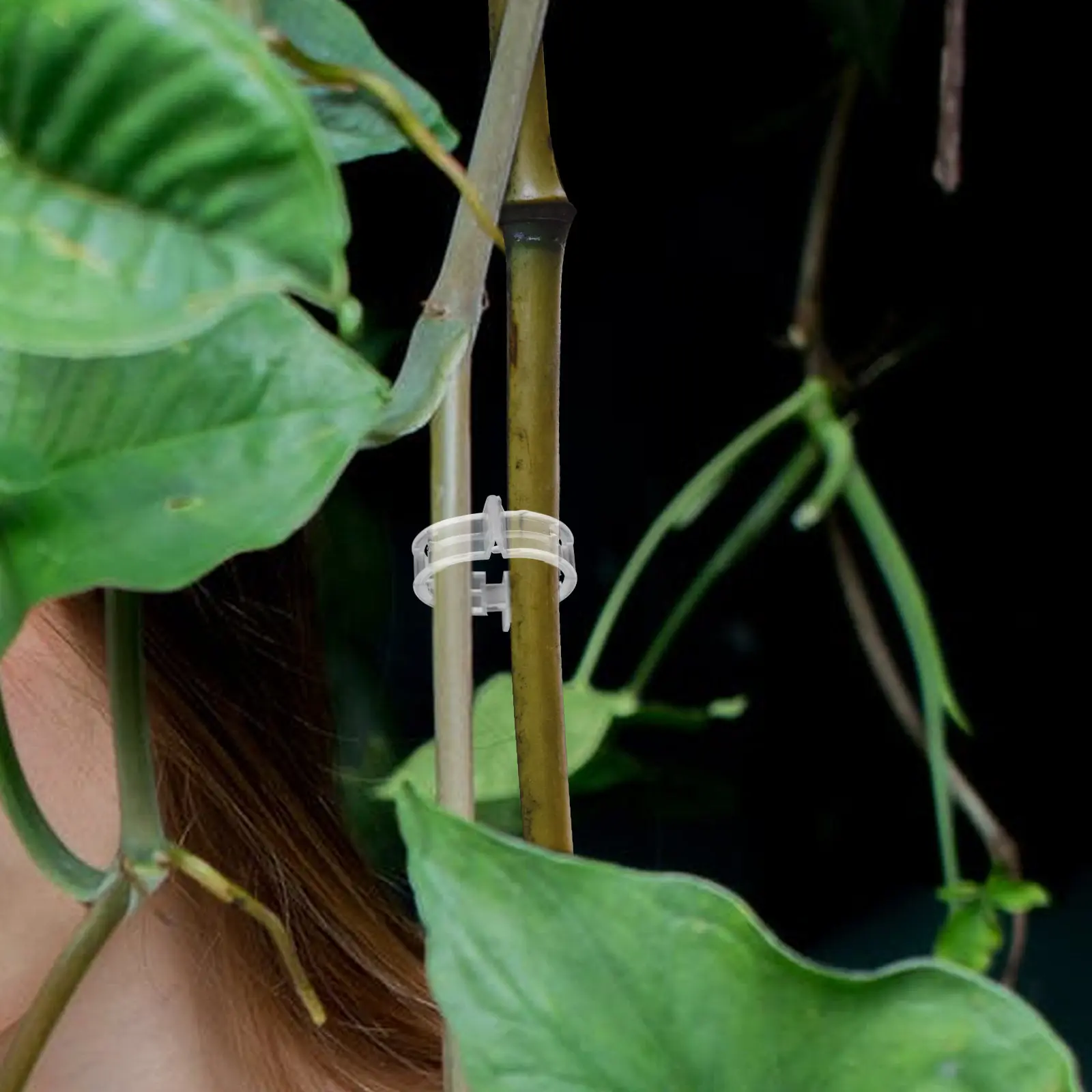 

200 шт. Пластиковые зажимы для прививки растений, премиум-класса, для выпрямления стеблей, фиксации и поддержки цветов и садовых растений, а также для вьющихся растений