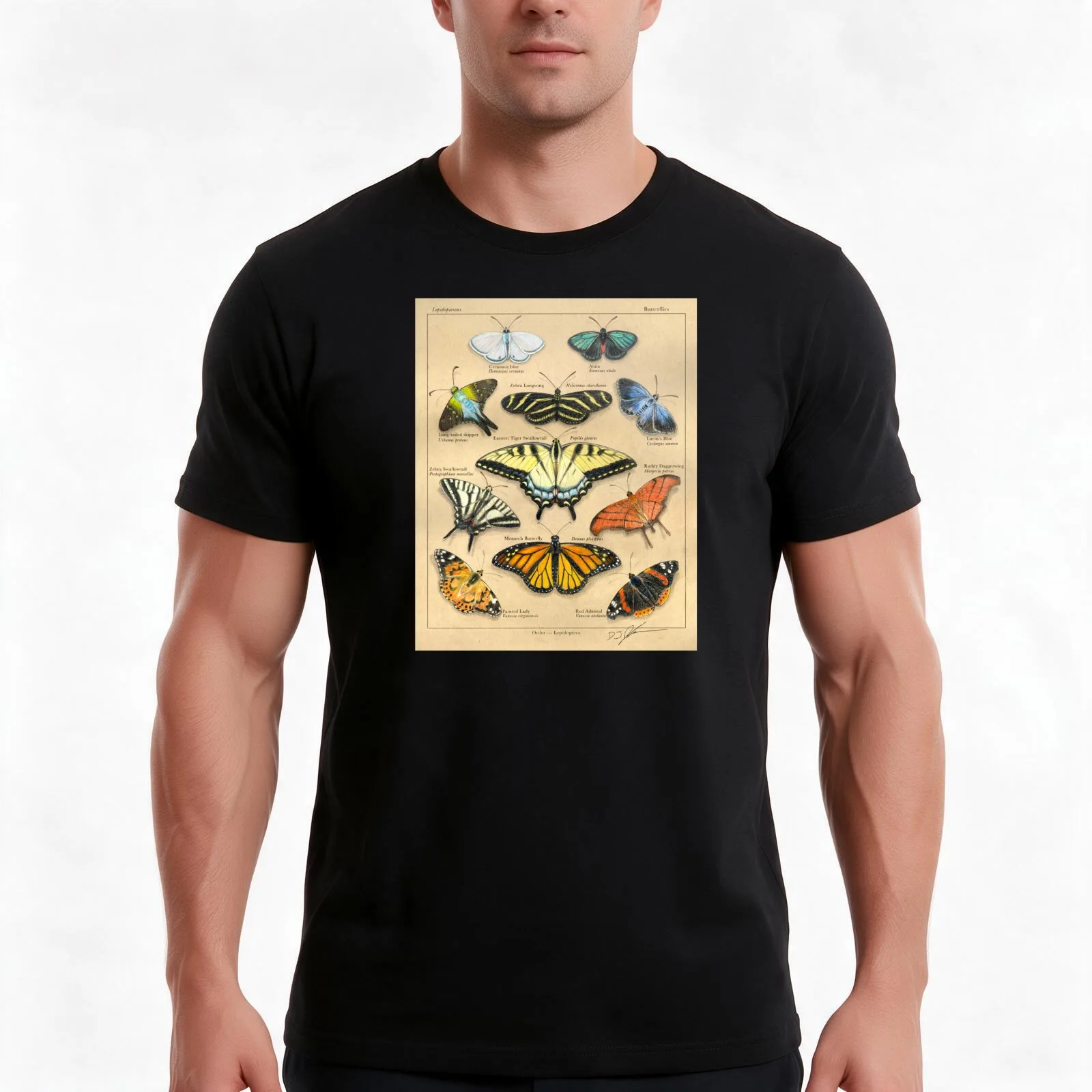Lepidopterans Plate Illustration T-Shirt, Summer Casual Cotton Tee, Oversized Streetwear Tops, Vintage Graphic Print