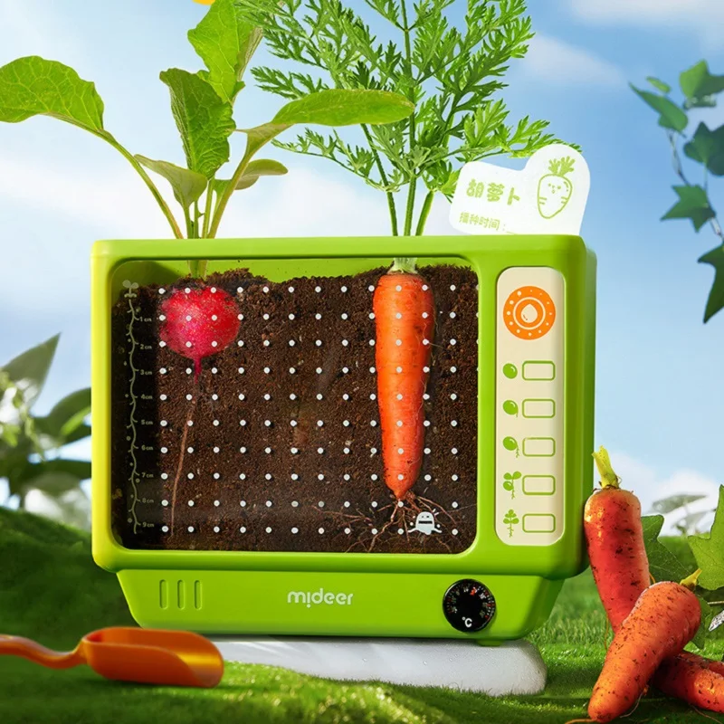 

Детский садовый комплект солнечного света, обучающая научная игрушка с окном наблюдения, самоводная гидропоника для исследования природы, домашнего класса