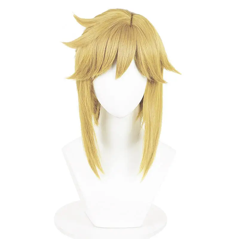 Anime Link Cosplay Wigs with Elf Ears Earrings for Halloween