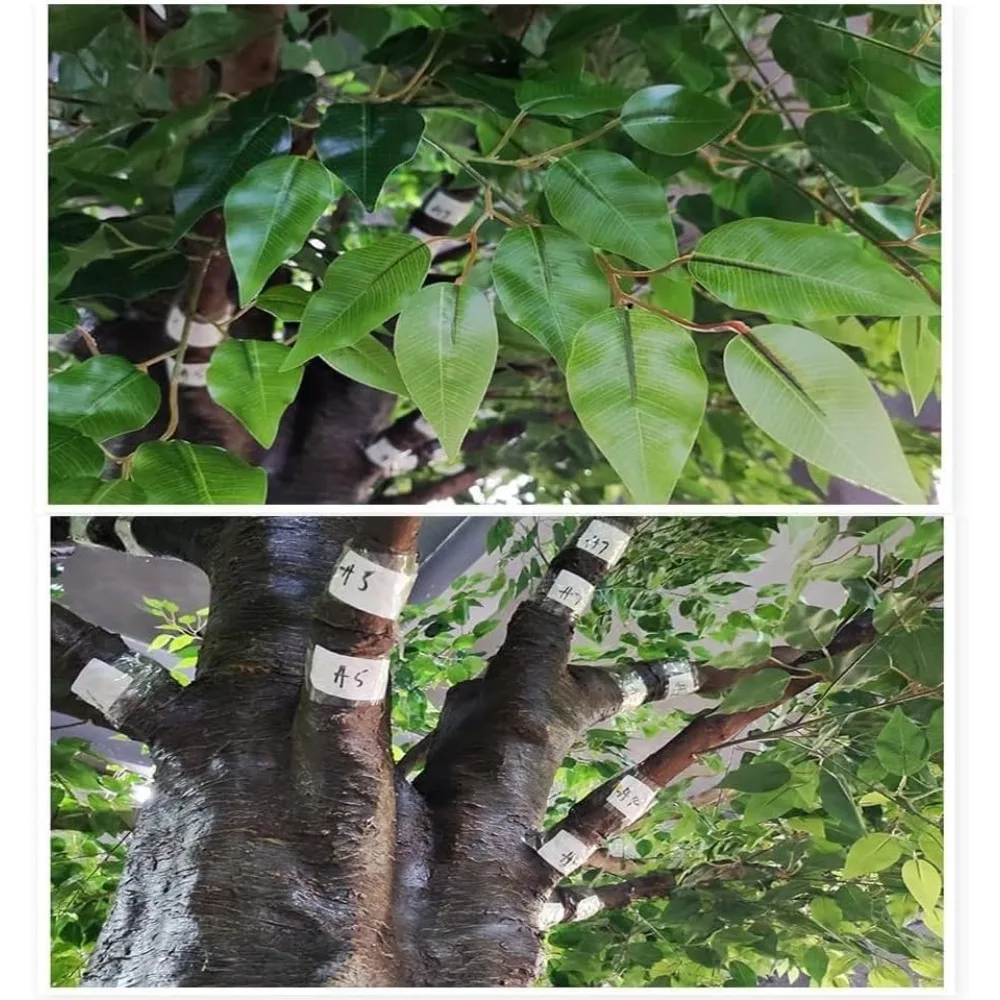 شجرة بانيان صناعية كبيرة للاستخدام الداخلي/الخارجي للمنزل والفنادق والمساحات البيع بالتجزئة