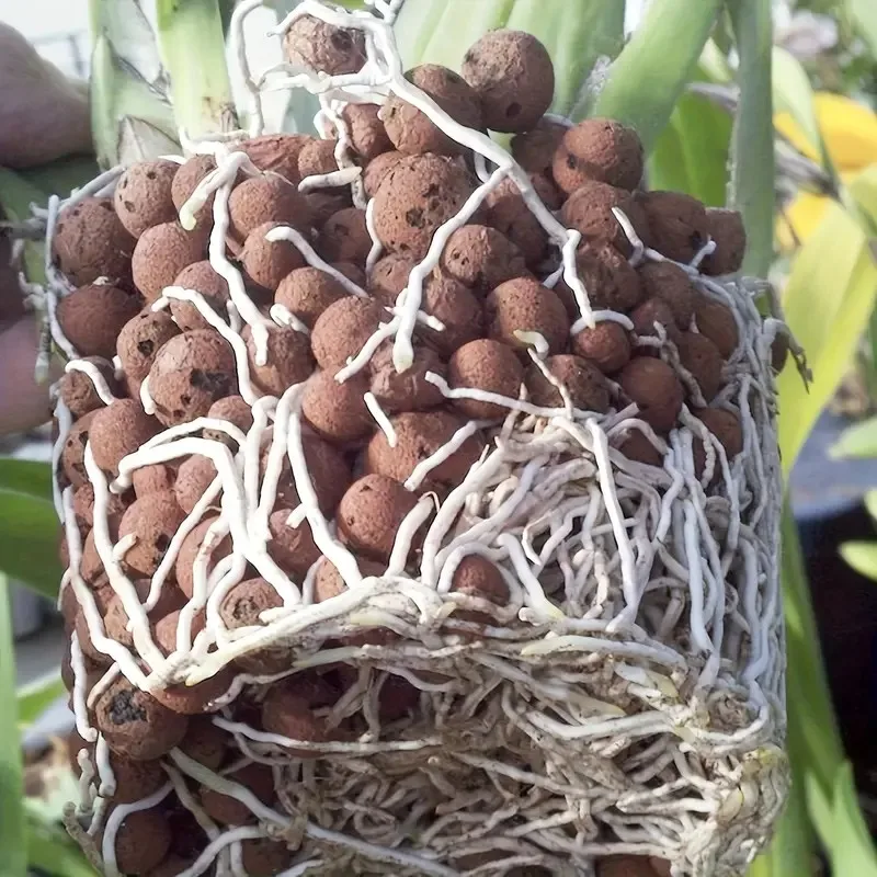 Hydroponische erweiterte Kieselsteine aus Ton für den Garten – ovale Bio-Keramikpellets für Töpfe, Pflanzgefäße, Orchideen, Sukkulenten und Bodenablauf – Detail 2