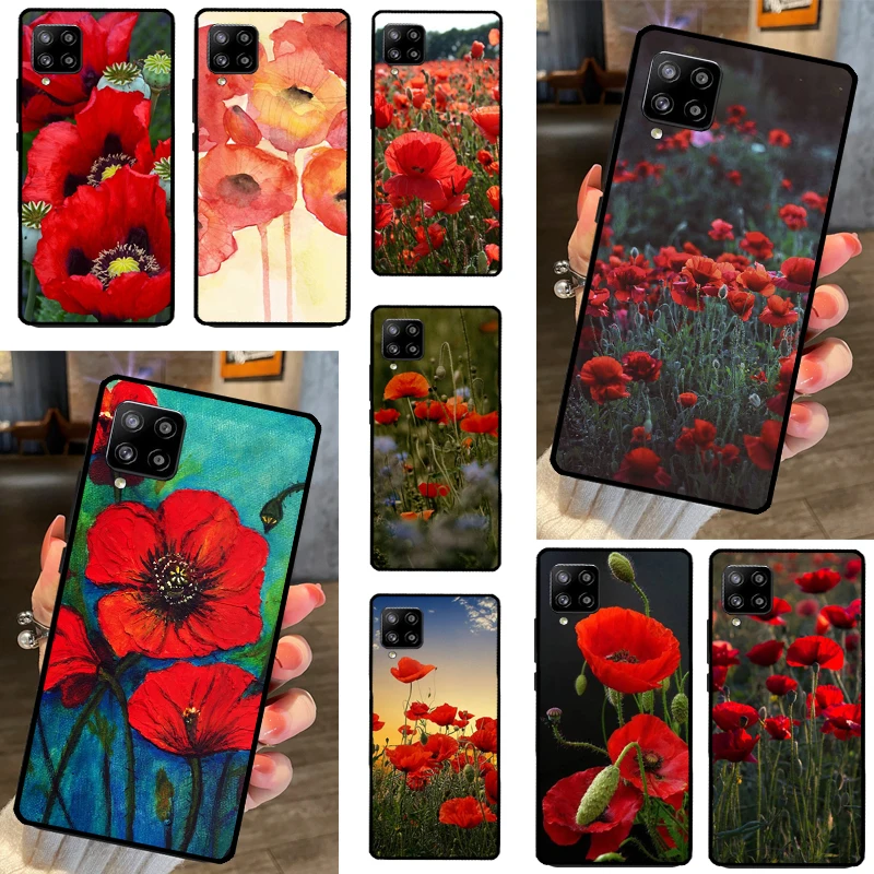 Poppy Flower Bloom …