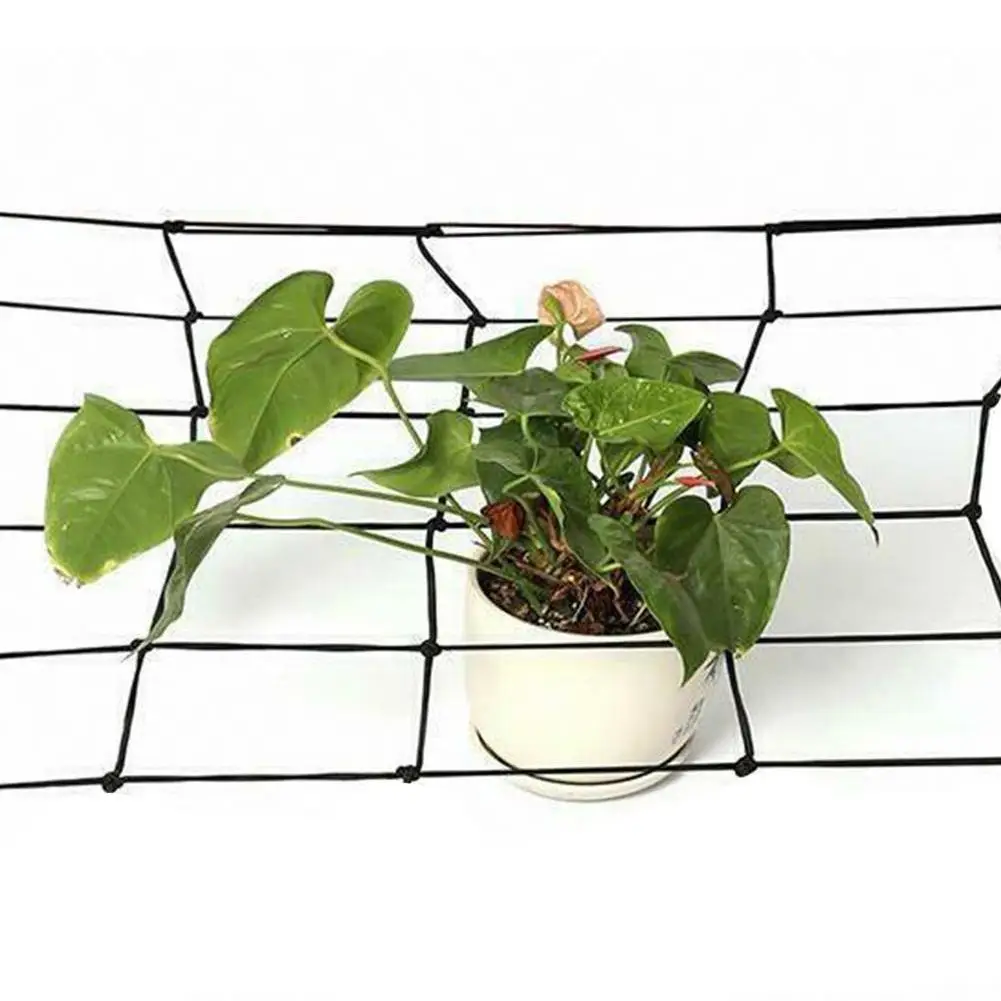 Садовая эластичная сетка для роста трав, новая сетка для сушки, 1 шт., сухая трава, царапа, цветочная корзина, эластичная сетка для трав A6p0 Садовая эластичная сетка для роста трав, новая сетка для сушки, 1 шт., сухая трава, царапа, цветочная корзина, эластичная сетка для трав A6p0