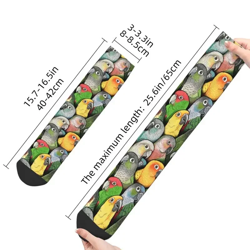 Y2K Colour Of Conure Birds Mens Crew Unisex Funny Cute Parrot Spring Summer Autumn Winter Dress Socks