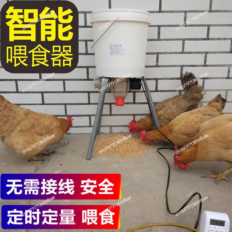 Chicken automatic feeder pigeon chicken duck carrier pigeon feeding trough timing automatic