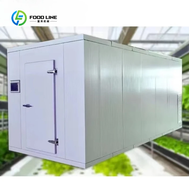Customized Container Farm Manufacturer Vertical Farming Hydroponics Container Factory for Medical Plants