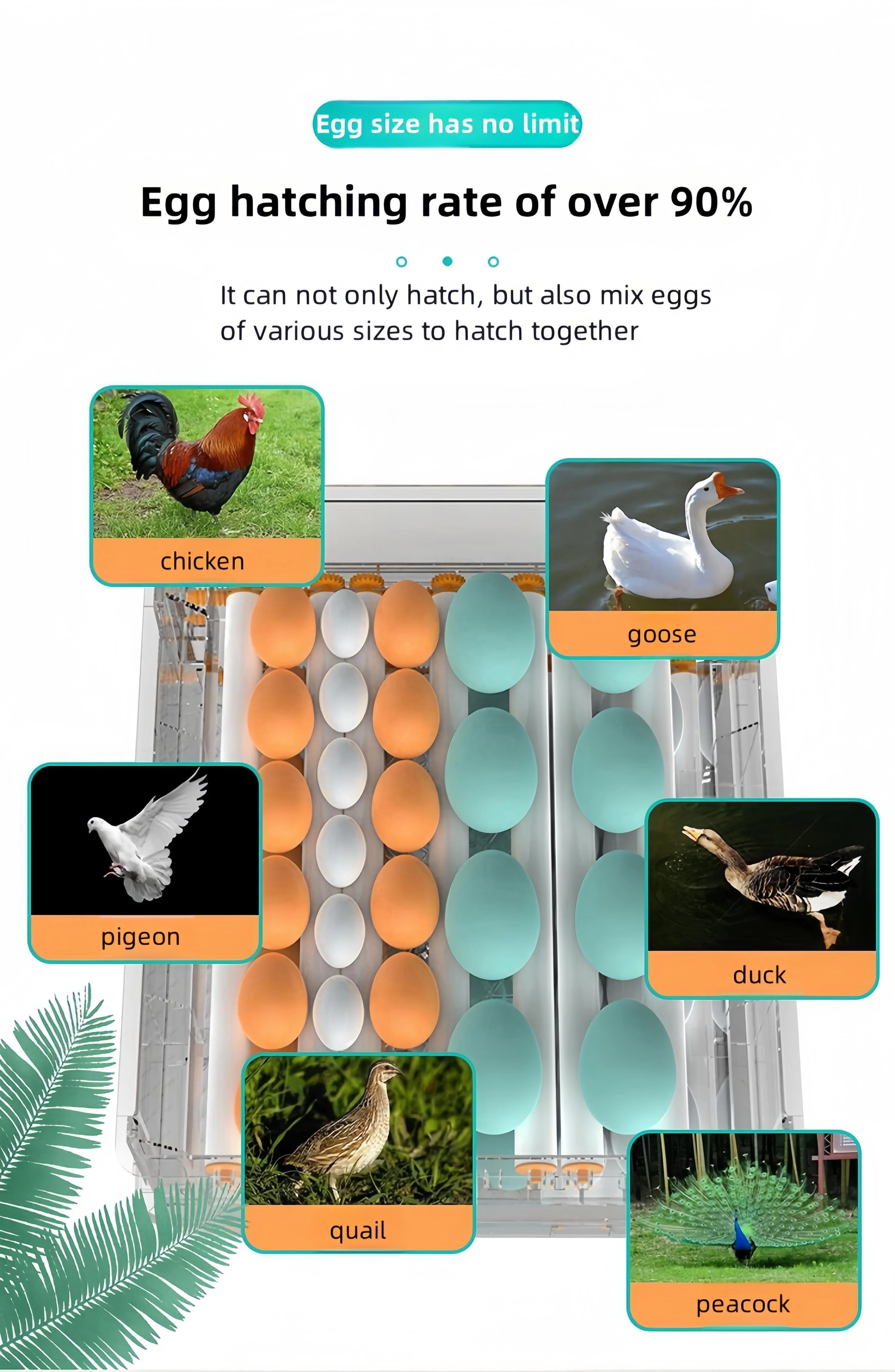 حاضنة الدجاج الأوتوماتيكية مع جزء الرمح لحاضنة 120 بيضة