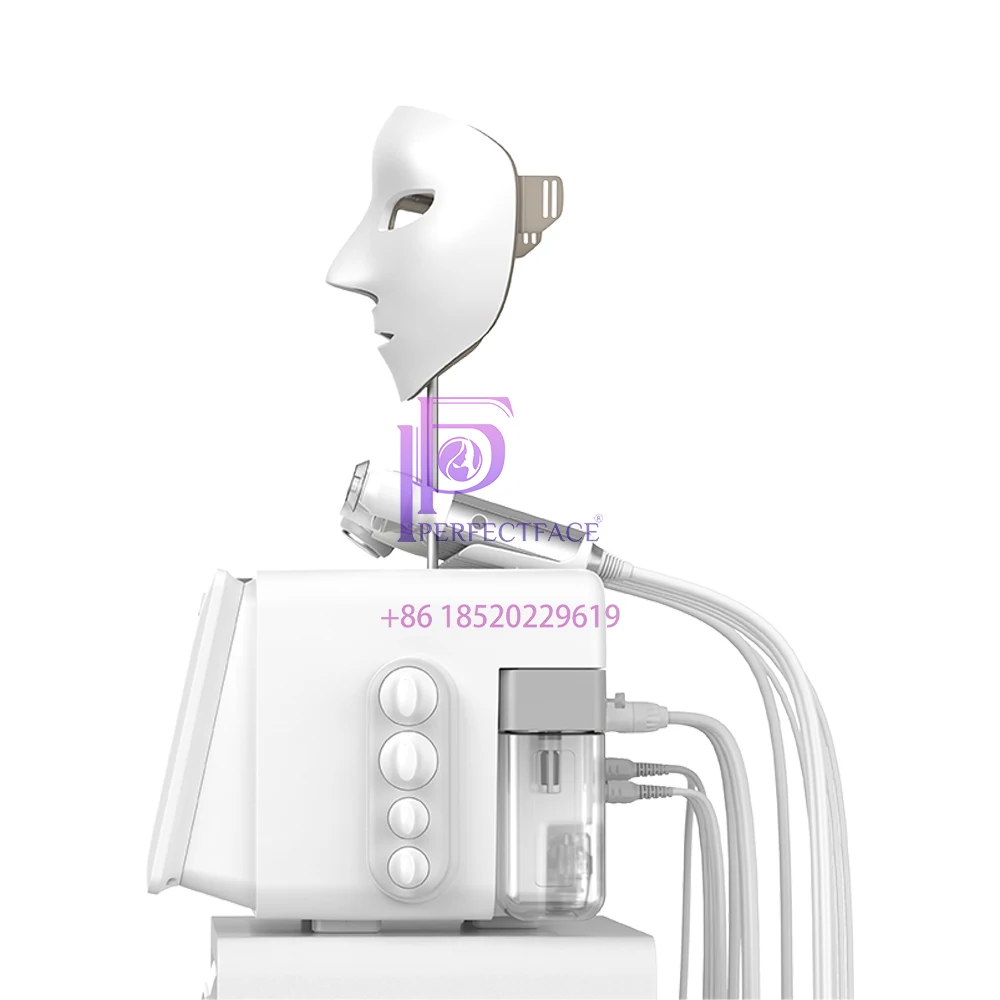 10-in-1 Multifunctioneel Huidverzorgingsapparaat Waterpolijsten Airbrush Warm Koud Hamer Carbon Bubble Dual HR Ultrasone Huidschop