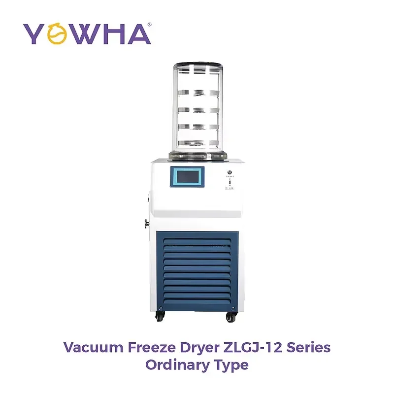custom for Lab Vacuum Lyophilizer ZLGJ12 Series Ultimate Vacuum 0.1Pa Pumping Speed 2L S Freeze Dried Area 0.12 Square Meter