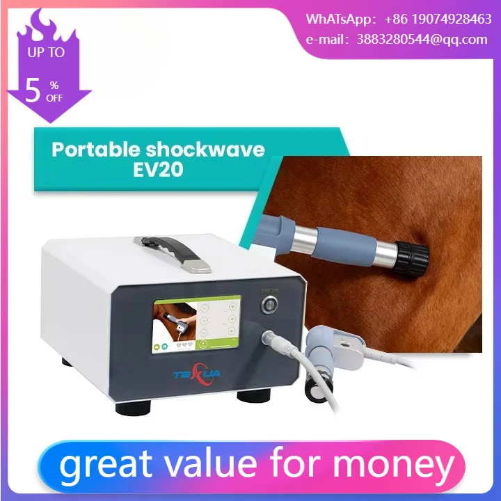 Best Price Small Physical Therapy Shockwave Therapy Device Advanced Shock Wave Equipment For Veterinary Physiotherapy Clinics
