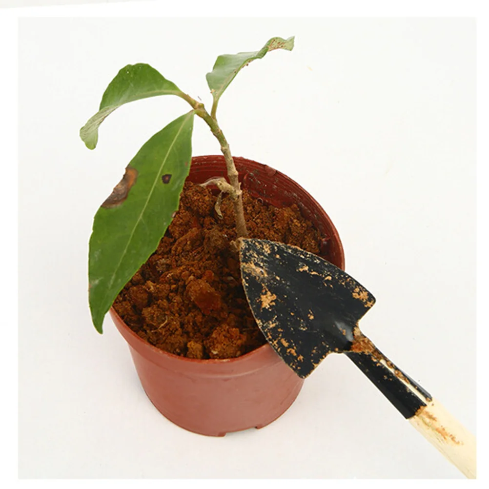 

3Pcs Gardening Tool Set Ergonomic Iron Mini Garden Hand Tool Lightweight Comfortable Wooden Handles Suitable for Pot and Garden