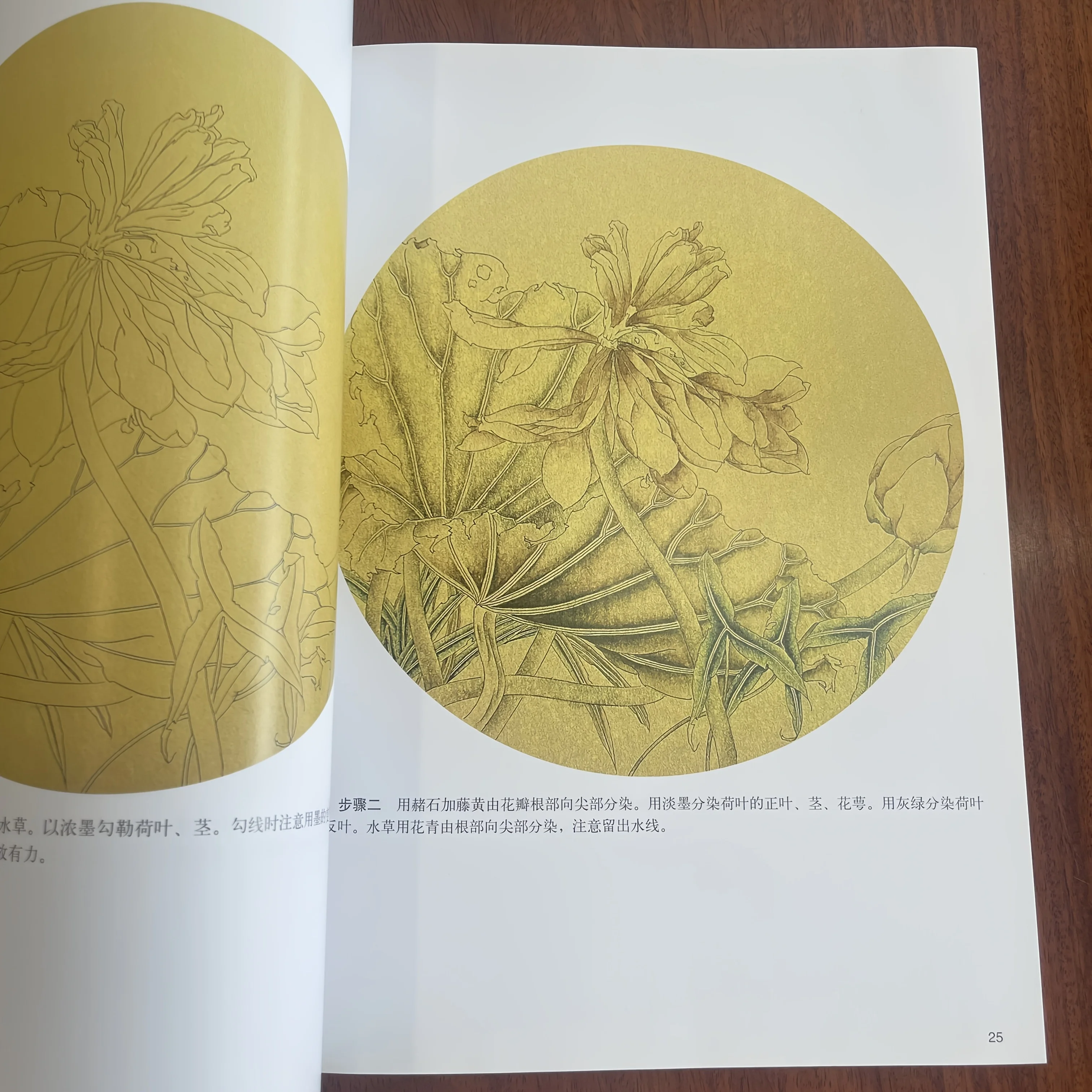 Lotus Coloring Methods: Gongbi Water Flower Painting with Layering Tutorials