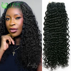 Water Wave Knotless Pre-Separated Crochet Hair Extensions Burmese Hair Curly Human Hair Feather Hair Extensions for Women