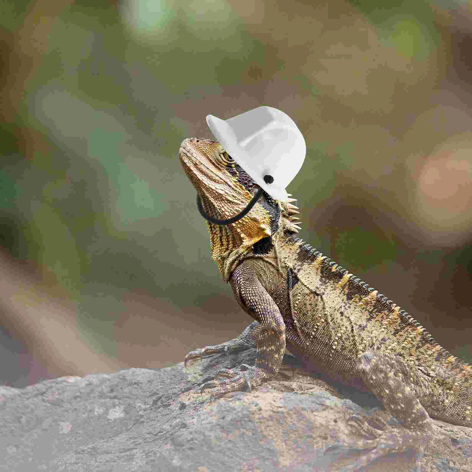 Miniature Construction Hat Bearded Dragon Hat Toy Hat Small Engineer Hat Tiny Safety Hamster Lizard