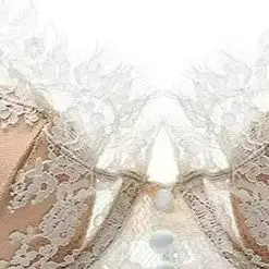 

KUCLUT Eyelash Lace Bra Push Up Top With Underwire Thin U-shaped Large Backless Bra Women's Sportswear Sexy Lingerie Vest Bras