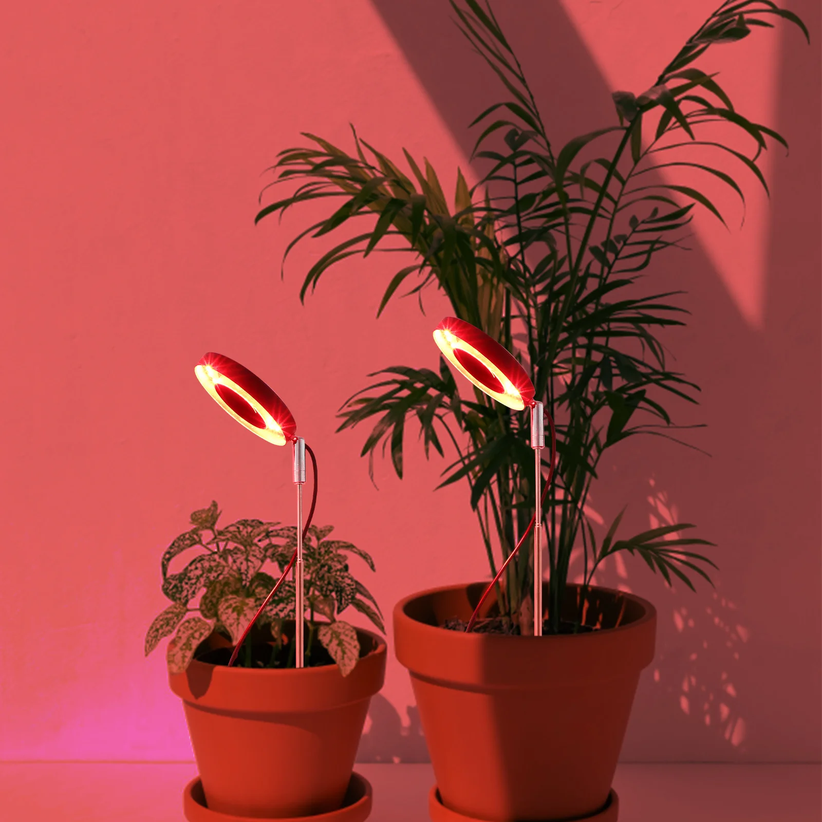 مجموعة واحدة من ضوء النبات LED كامل الطيف، حل فعال للنباتات الداخلية، أضواء تنمو الخضروات بوعاء