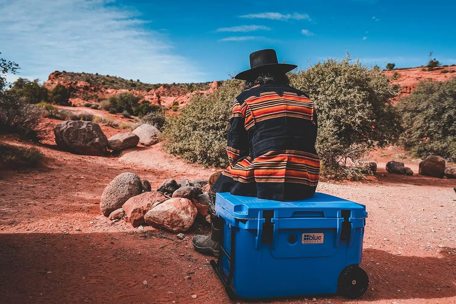 Blue Coolers Ice Vault – 60 Quart Roto-Molded Cooler (Large  Chest Holds up to 10 Days)