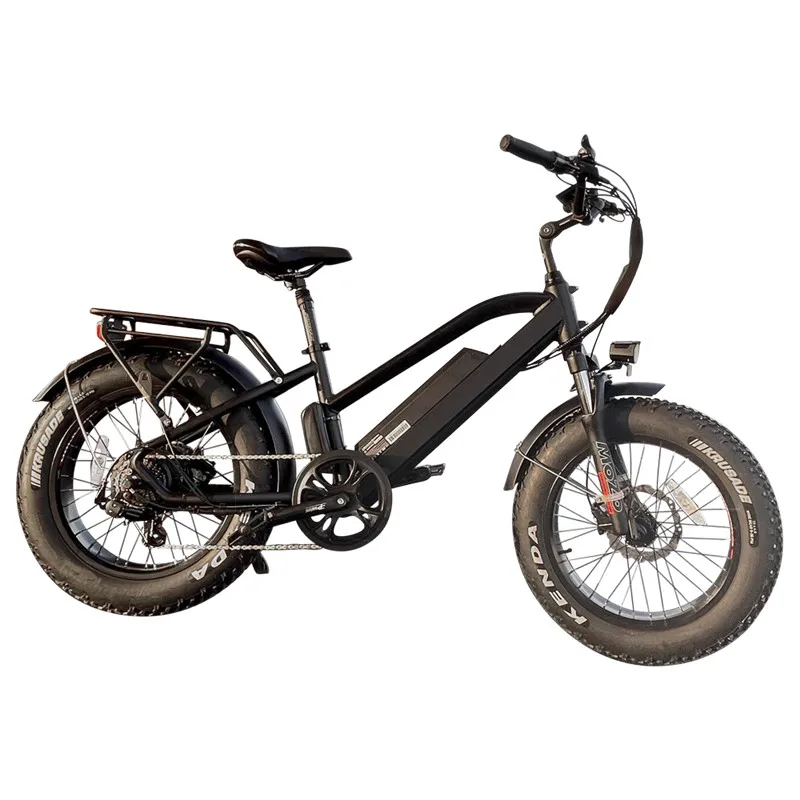 

Топ-10 Производитель электровелосипедов Китайская фабрика Самый быстрый 16 дюймов 20 дюймов Электрический велосипед с толстыми шинами Bicicletta Mtb Электрический велосипед