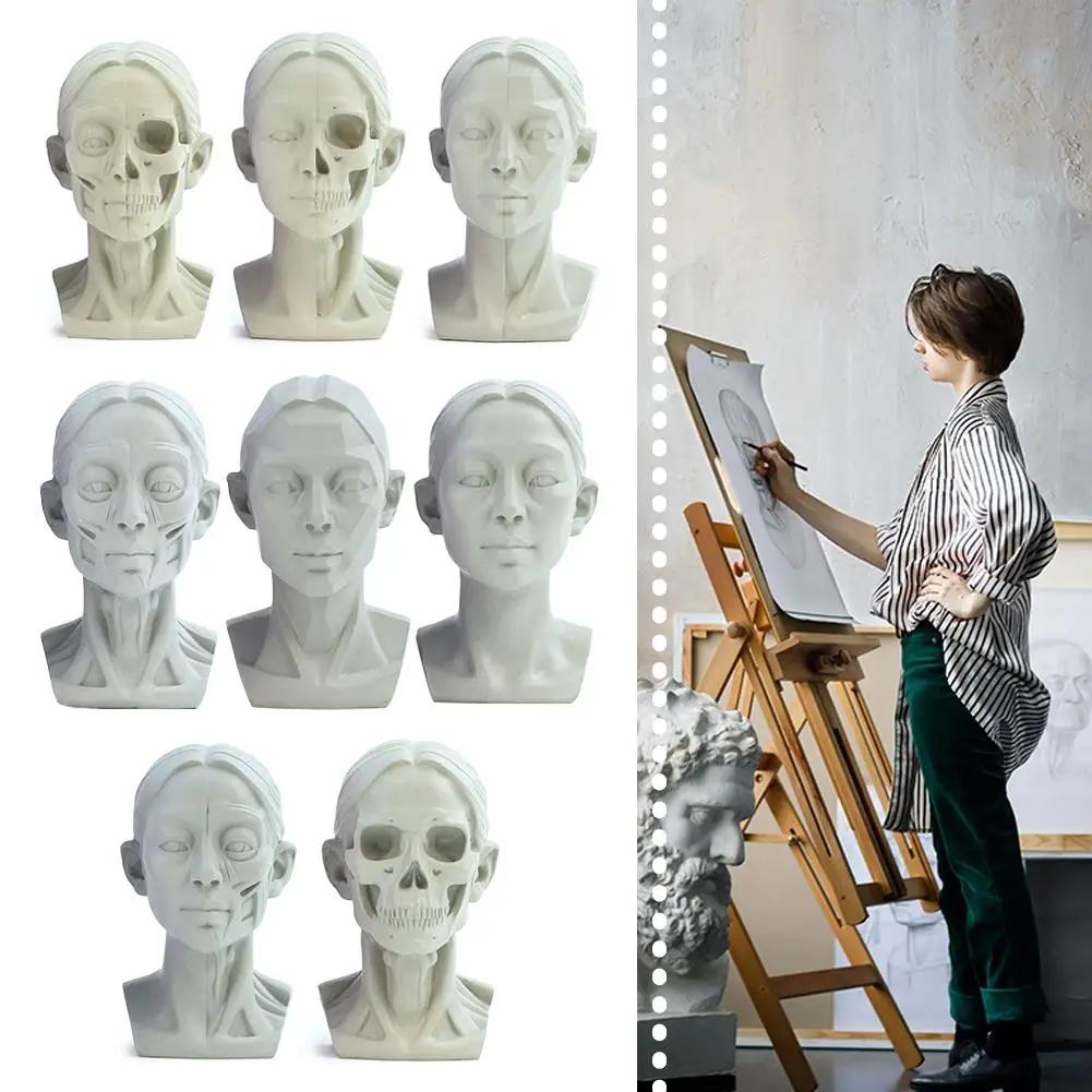 Sketch Art Head Model 1pc Planar Head Model Art Sketch Gypsum Statue Teaching Tool Sketch Muscle Resin Still Life Ornament Model