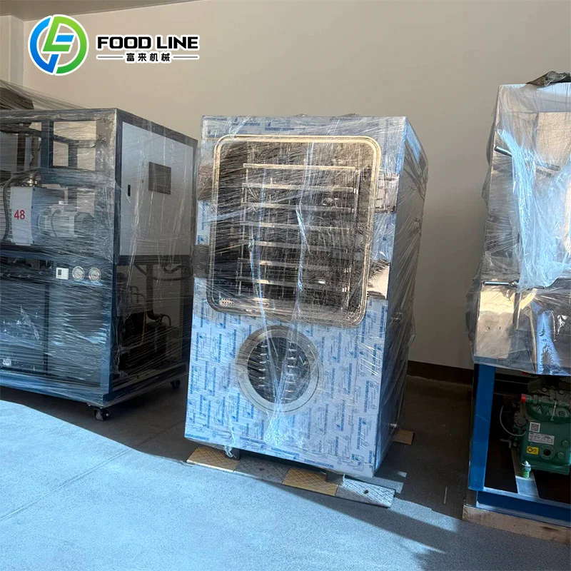 Customized Small Lyophilizer Freeze Dryer Mini Home Small Food Freeze Dryer Machine Freeze Dry Machine
