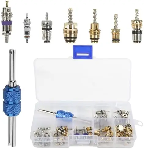 

SCUARI 40PCS AC Schrader Valve Core Repair Kit for R134a A/C Systems – Valve Removal Tool & Car AC Accessories