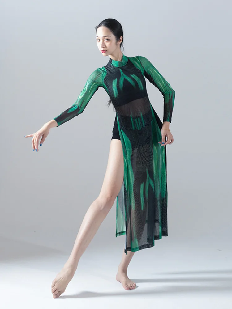 

Elegant Improved Qipao Style Classical for Wosummer Troupe Community Performance Mesh Long Sleeved Practice Chinese Dance