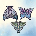 HP-Set-0160