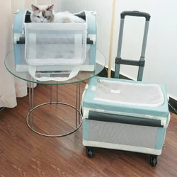 2 Layers Foldable Cat Carrier Bags Travel Transport Suitcase Cat Outdoor Handbag Large Capacity Carrier Bags Pets Supplies