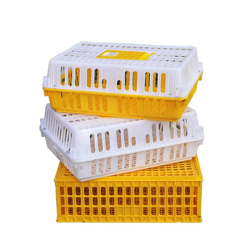 Factory Cage Door Flap Reusable Container 16 Screw Chicken Transport Crate Turnover Box for Hen Chick  Goose Bird Rabbit Duc