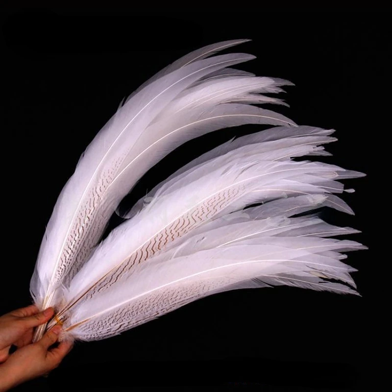 10Pcs/lot White color lady amherst pheasant silver feather 30-55cm long silver white chicken tail Feathers feathers decoration