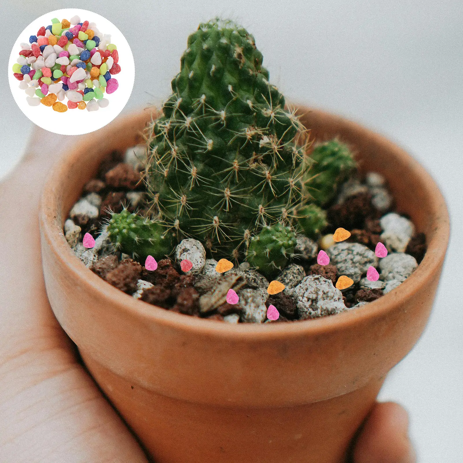 Colorful Decorative Stones for Indoor Plants Vase Filler Succulent Pebbles Aquarium Gravel 1 Pack