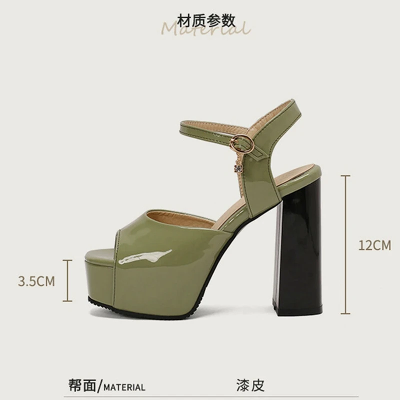 REAVE CAT Elegant Open Toe Women Sandals 12cm Thick Block Heel 4cm Platform Ankle Buckles Big Size 48 49 50 Black White Gold