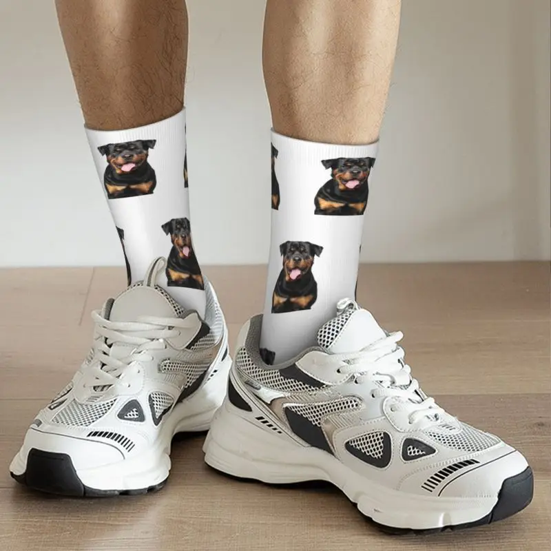 Chaussettes de sport Rottweiler pour hommes et femmes, Kawaii, chaudes, imprimées en 3D, pour le Football