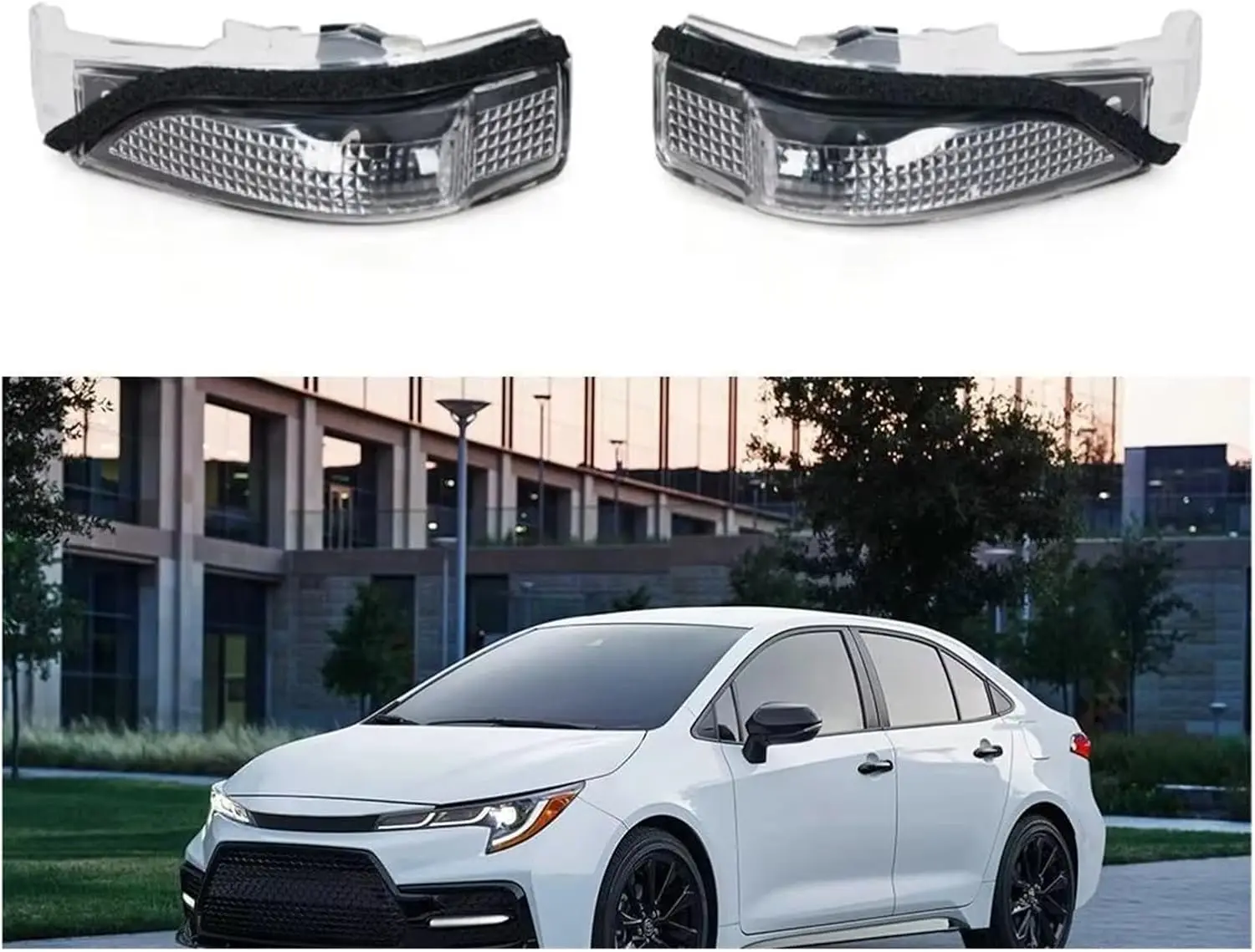 Left/Right Wing Sid…