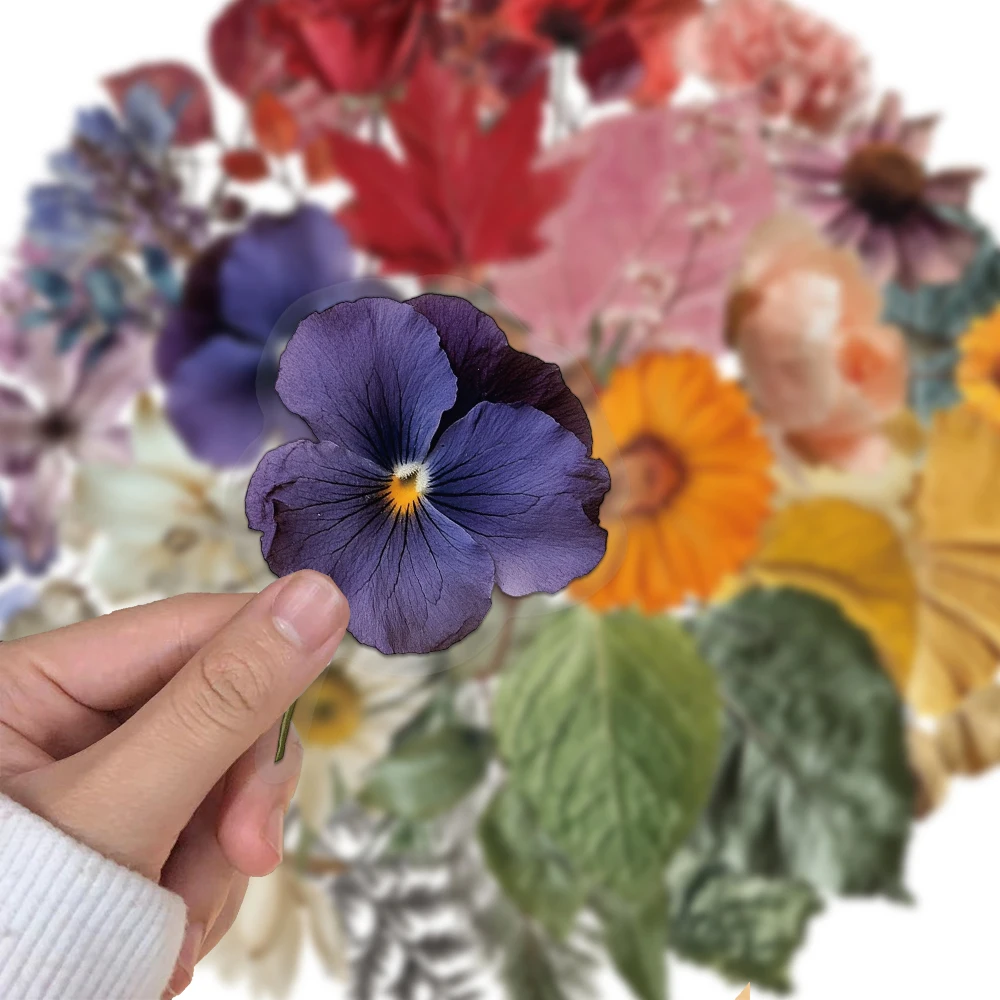 50PCS Creative Plant Specimen PET Transparent Material Stickers Envelope Sealing Stickers Mobile Phone Case Decorative Stickers