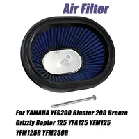 Filtro de entrada de aire para motocicleta, limpieza para Yamaha Blaster 200 YFS200 88-06 Breeze Grizzly 125 Raptor 125 250 YFA125 YFM125/R YFM250R