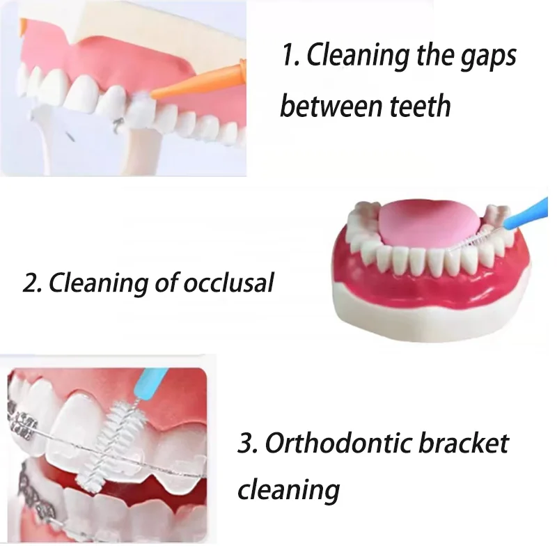 Cepillos interdentales para dentistas, hilo dental para blanquear los dientes, herramientas de Limpieza de dientes de ortodoncia, 0,8mm