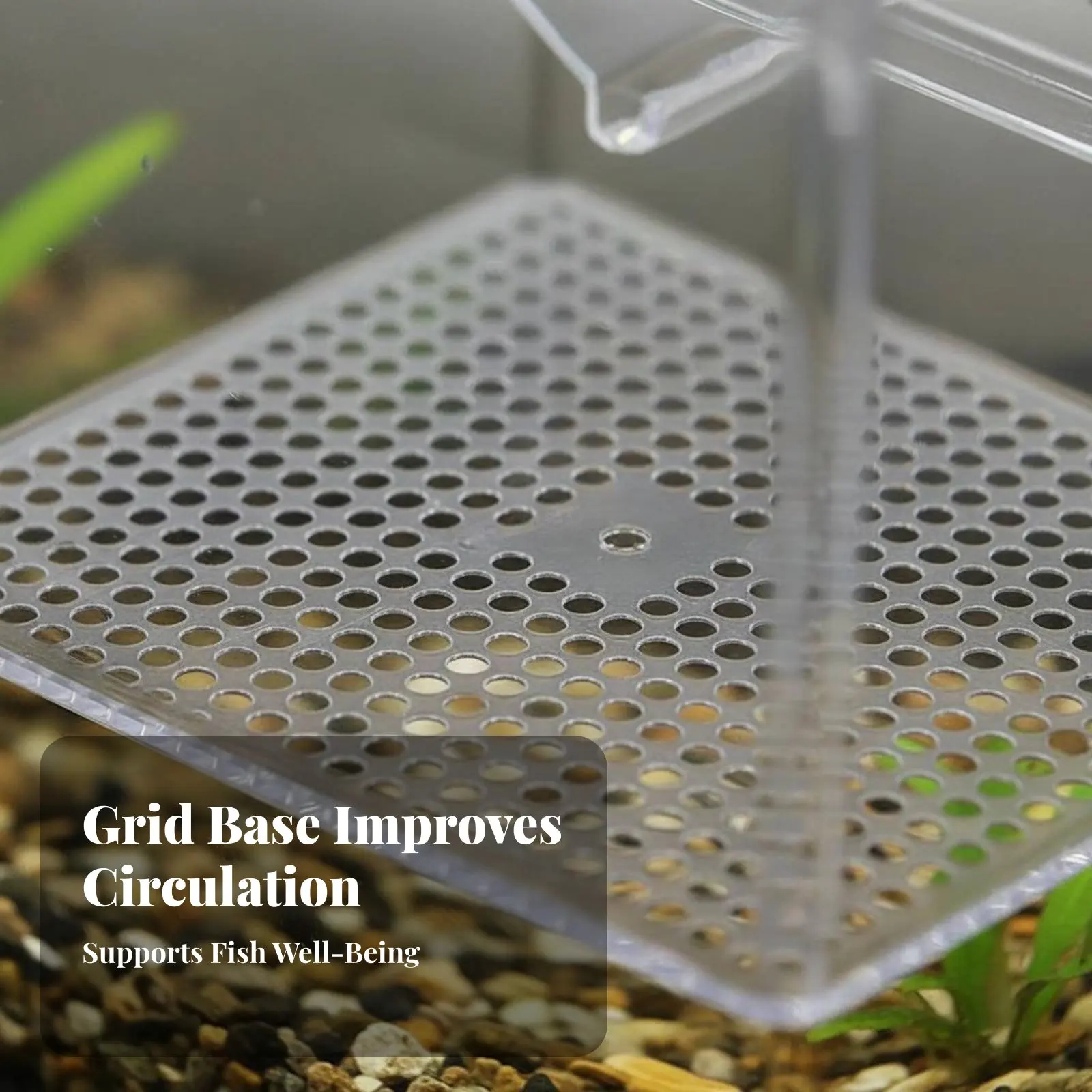 

Guppy Breeder Container High Clearness Buoyant Breeder Box Fry Hatchery Hatchery Unit Double Mesh System Aquatic Habitat Fry