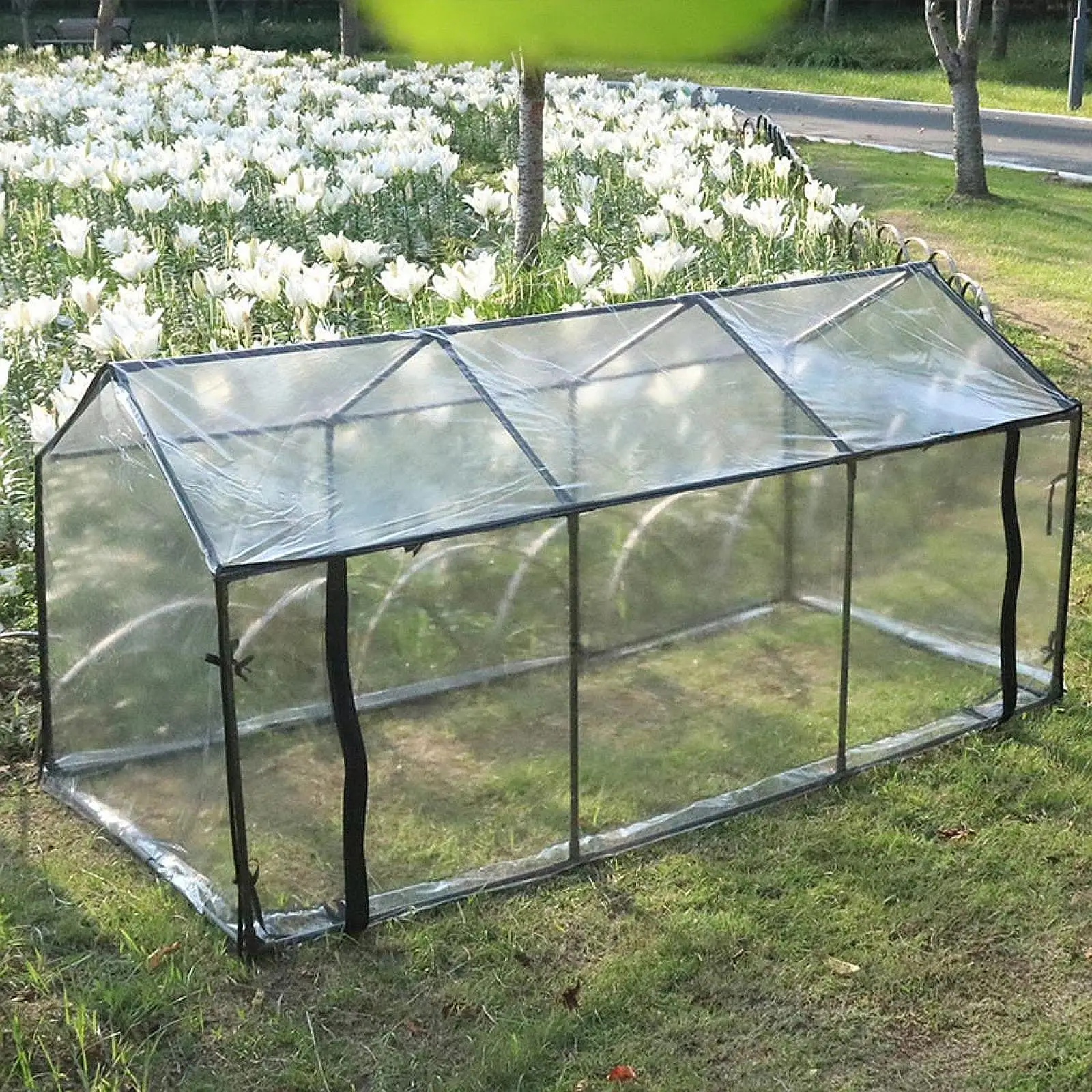 Mini namiot szklarski Łatwy montaż Przezroczysty namiot Ogrodnictwo Germination na podwórko Zewnętrzny kryty Kwiat Warzywa Roślina Ochrona