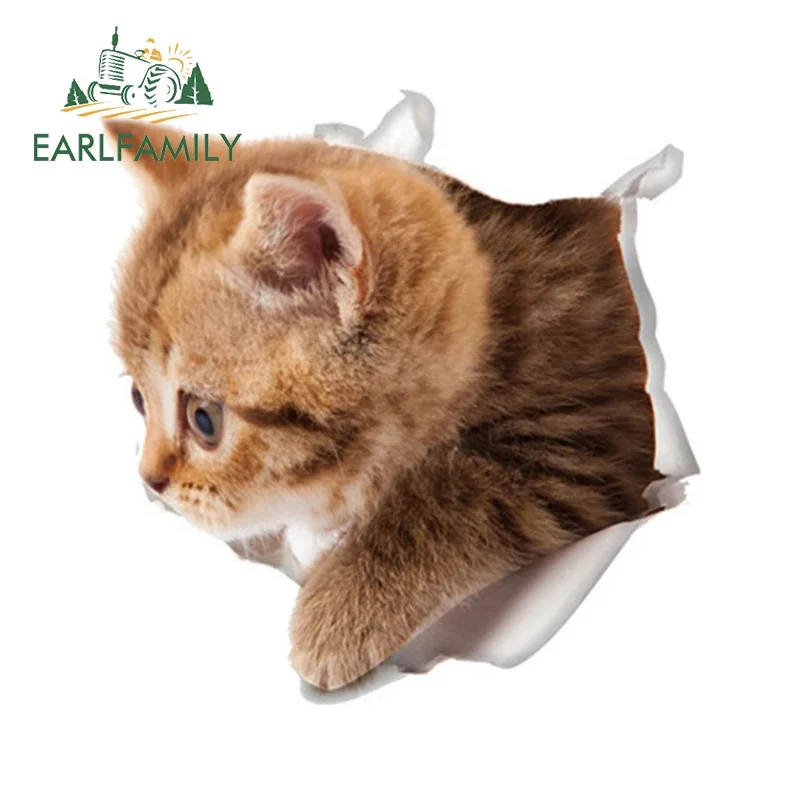 EARLFAMILY 13cm x 12.8cm for Torn Cat Auto Car Accessories Stickers Waterproof Decal Motorcycle Campervan Creative Decals Decor
