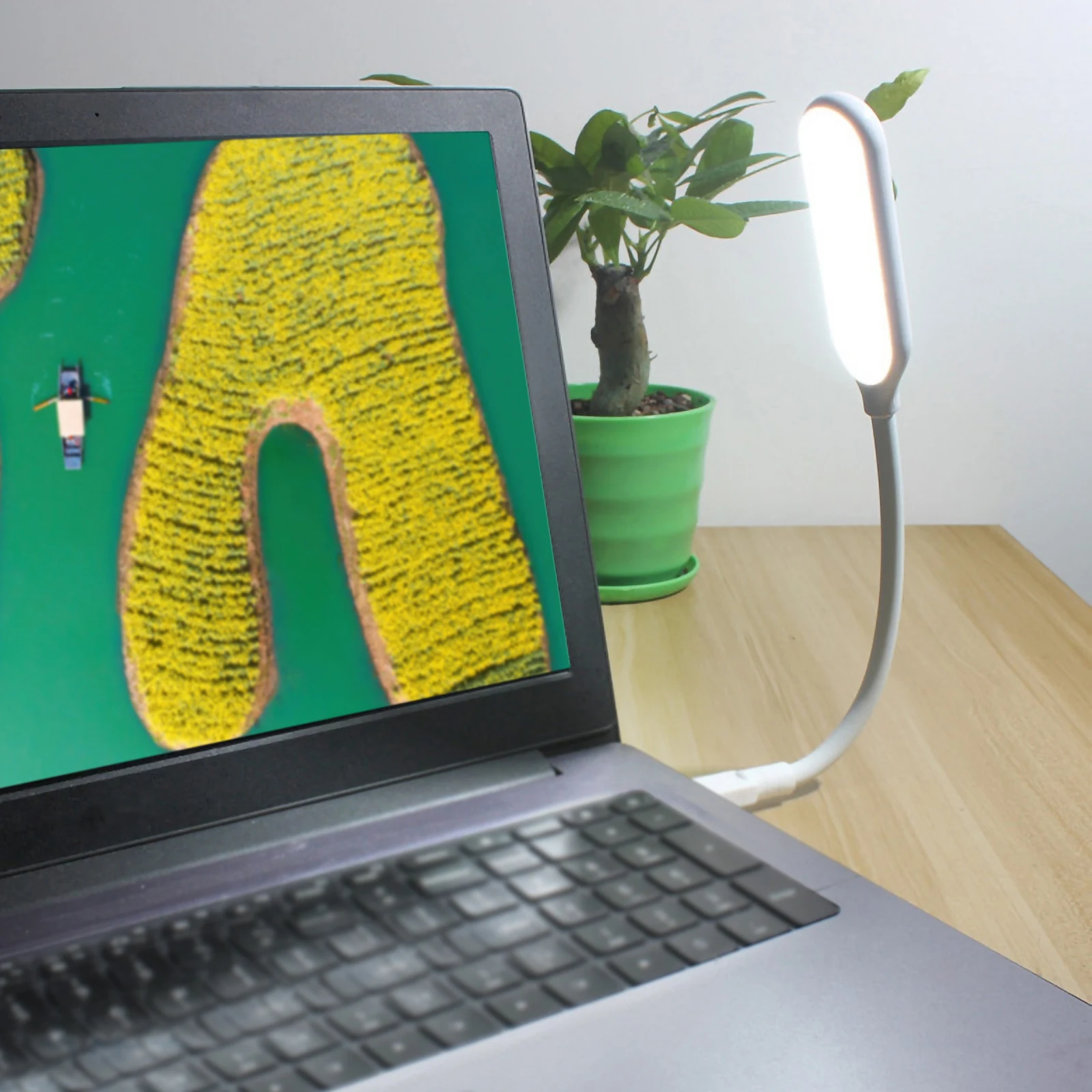 

USB Night Light Flexible Reading Lamp LED Gooseneck Desk Lights Bedside Computer Book Lamps USB Powered Silicon Material
